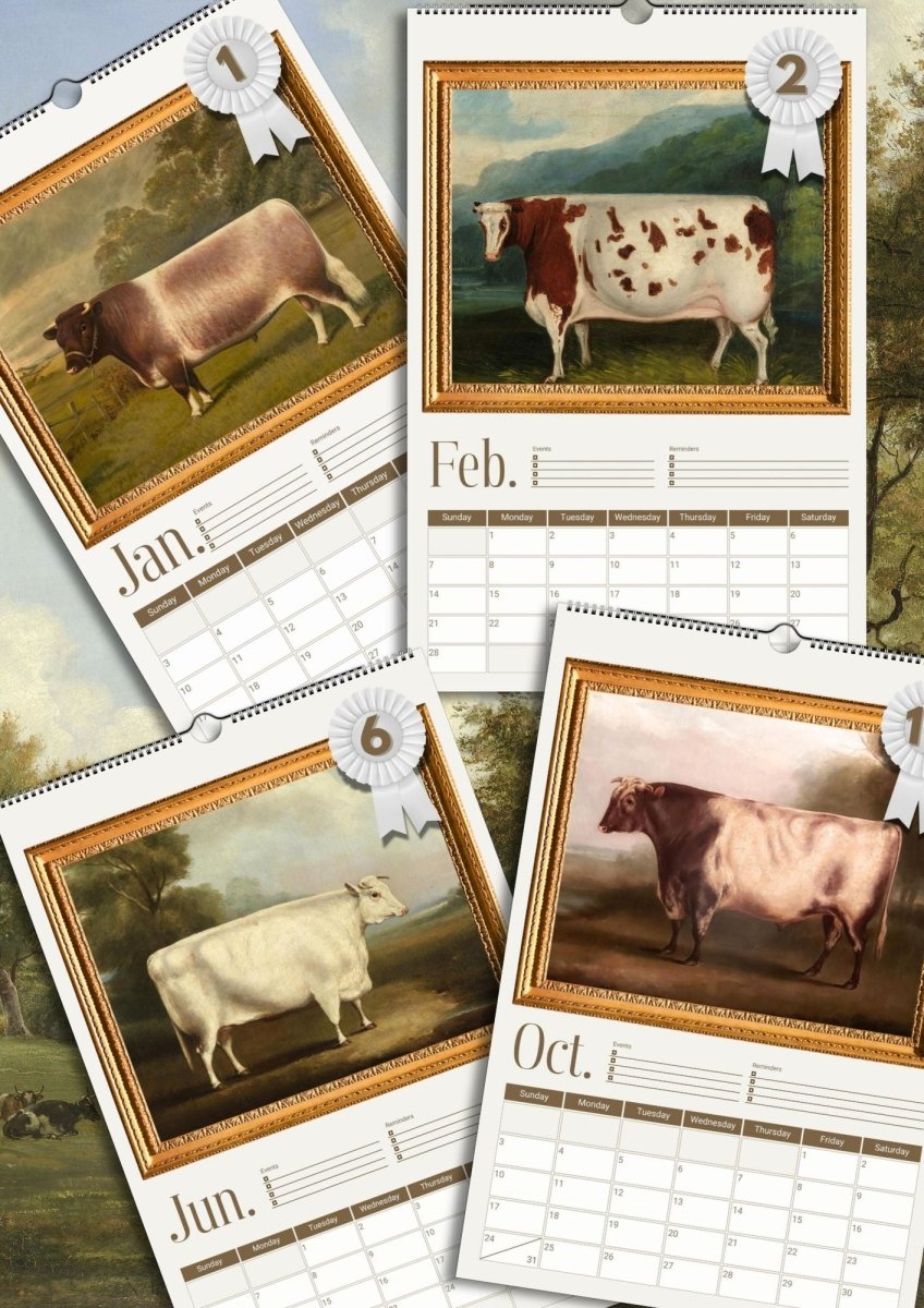 2027 Prize Cows in Primitive Paintings Wall Calendar. - DecorhardcorePrint Material