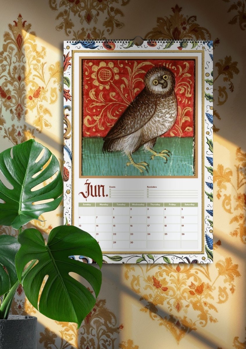 2027 Medieval Owls Calendar - DecorhardcorePrint Material