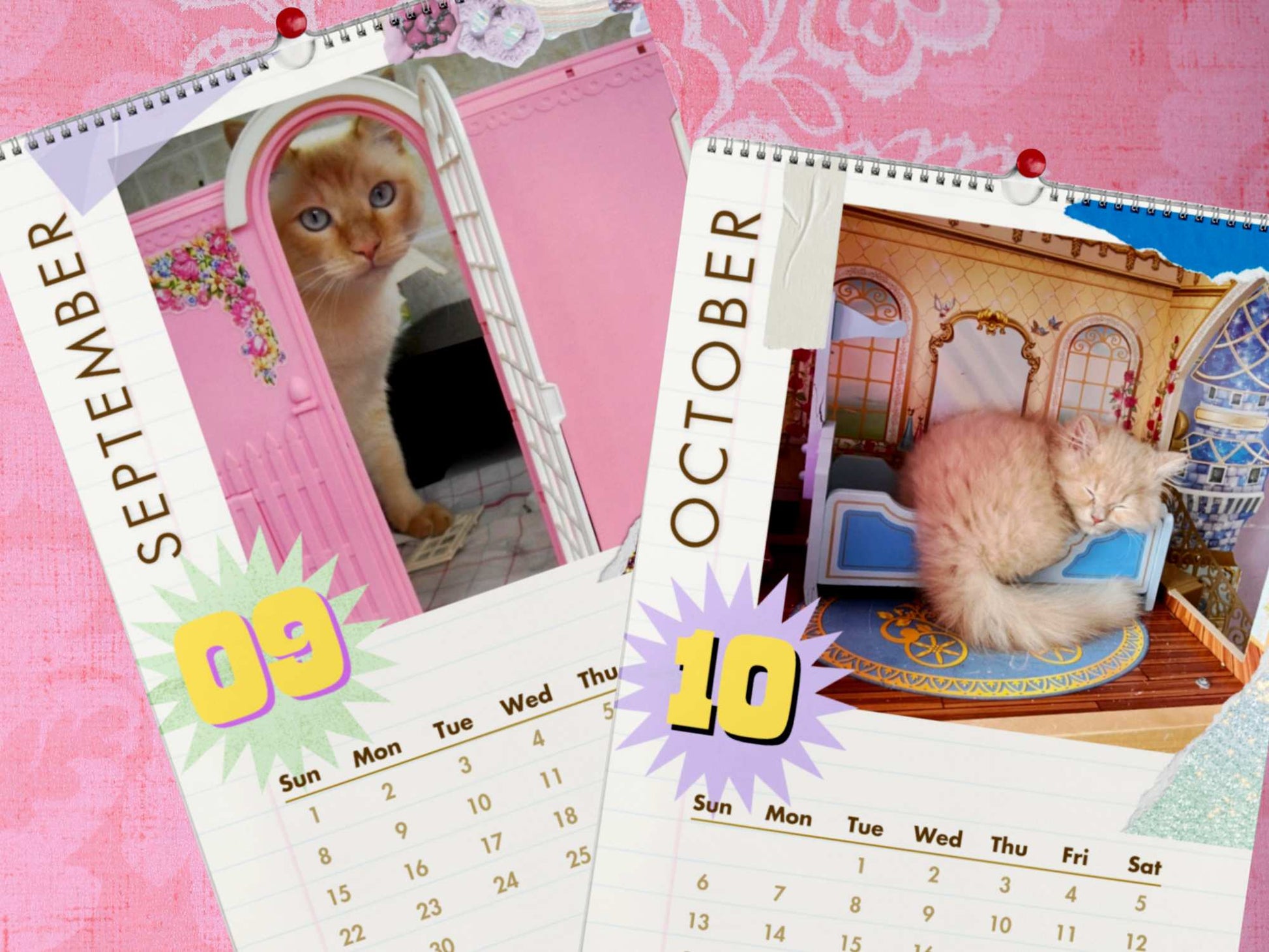 Cats in Dollhouses 2024 Wall Calendar