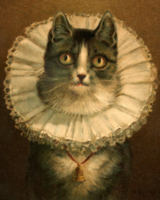 Cat with Collar and Bell, The Widow by Frederick Dielman
